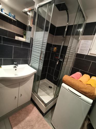 une salle de bain avec douche et lavabo dans l'établissement Port Cogolin, T2 calme dans belle résidence, piscine, proche St Tropez, à Cogolin