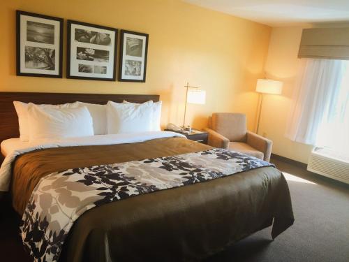 Katil atau katil-katil dalam bilik di Sleep Inn & Suites Carlsbad Caverns Area