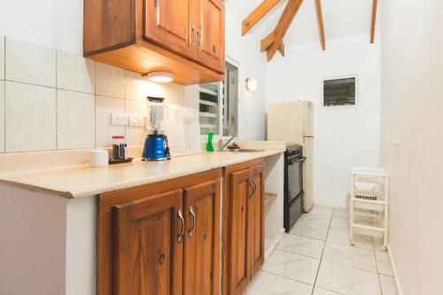 uma cozinha com armários de madeira e um liquidificador no balcão em El Flamboyan Apartments em Las Terrenas
