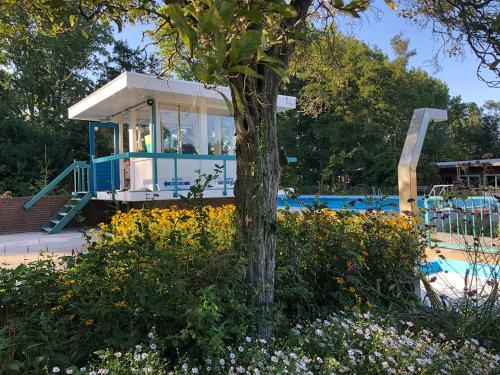 a tree in a garden next to a pool at Cappuccetto Rosso in Nieuwe-Niedorp