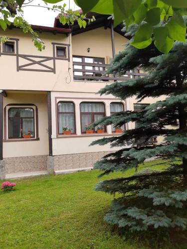 a house with windows and a tree in the foreground at Casa cu Flori in Buşteni