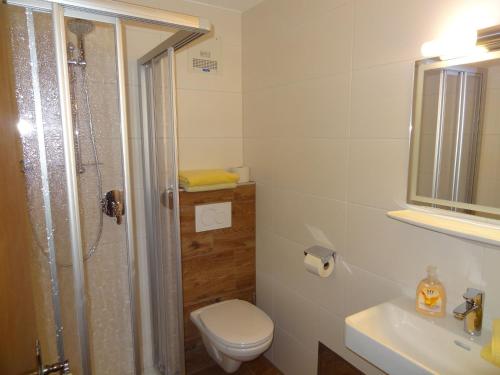 uma casa de banho com um chuveiro, um WC e um lavatório. em Pension Holzapfel em Sankt Georgen im Attergau