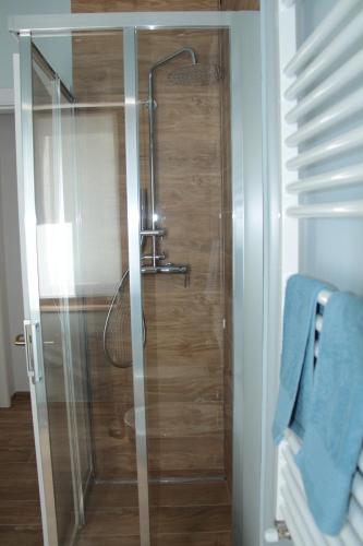 皮內托的住宿－Il garusolo，浴室里设有玻璃门淋浴