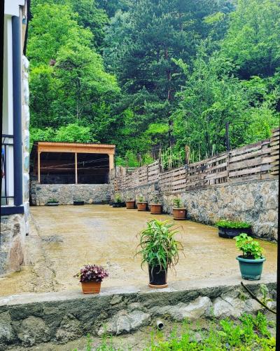 a courtyard with potted plants and a stone wall at Family hotel mountain panorama in Borjomi