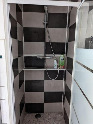 La salle de bains est pourvue d'une douche avec du carrelage noir et blanc. dans l'établissement appartement plein centre Saint die des Vosges, à Saint-Dié-des-Vosges