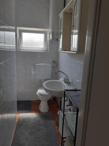 ein Bad mit einem WC, einem Waschbecken und einem Fenster in der Unterkunft Apartman Čigir in Vir