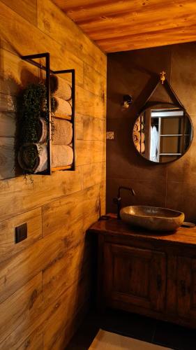 a bathroom with a sink and a mirror at Le Refuge du Montagnard in Marthod