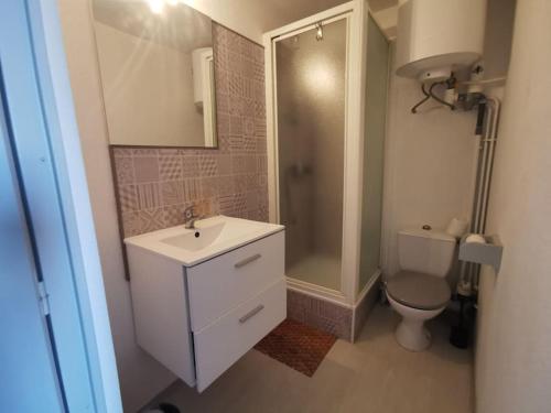 uma casa de banho com um lavatório, um WC e um chuveiro em Studio Cap Coudalère vue lac marin et climatisé tout confort proche des plages em Le Barcarès