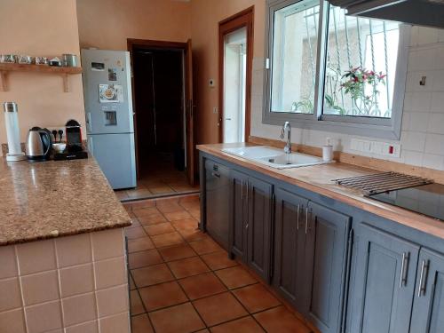 uma cozinha com um lavatório e um frigorífico em Jolie maison provençale. em Saint-Estève-Janson