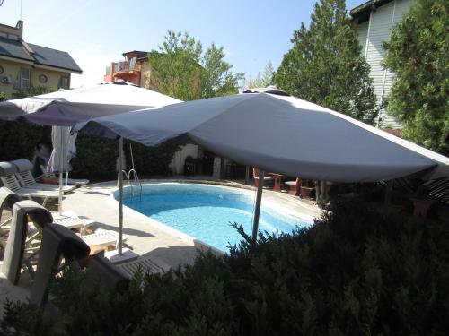 una piscina con sombrilla y 2 sillas en Hostel Papagal en Varna