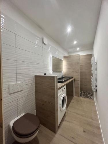une salle de bain avec machine à laver et toilettes dans l'établissement Entre lacs et montagnes, à La Motte-Saint-Martin