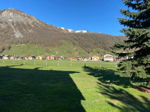 een grasveld met huizen en een berg bij Baita Brozol in Livigno