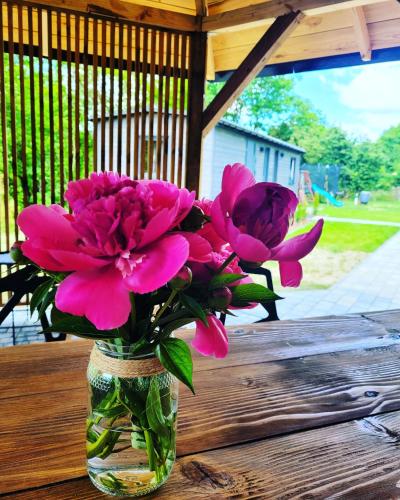 a glass vase filled with pink flowers on a table at DomEK Obok Rzeki in Bałtów
