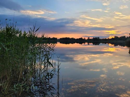 a view of a lake at sunset with clouds in the sky at Mazurska Łąka in Piecki