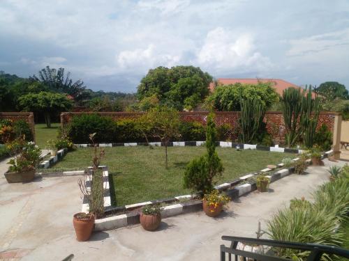 a garden with potted plants in a yard at Alice Gardens and Campsite in Entebbe