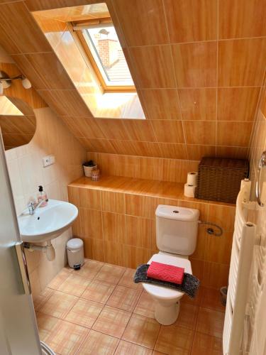 a bathroom with a toilet and a sink at Apartmán Dlouhá in Bechyně
