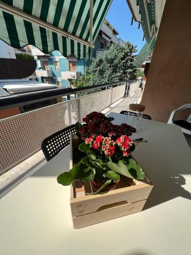 Fotografie z fotogalerie ubytování A casa di Nonna v destinaci Pescara