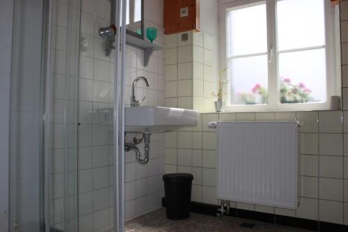 ein Bad mit einem Waschbecken und einem Fenster in der Unterkunft Villa Laubach in Laubach