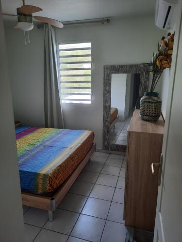 1 dormitorio con cama y espejo. en case an nou Martinique 3*** en Le Marin