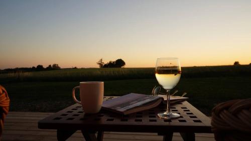 a table with a glass of wine and a book at Almbacka Logi in Skivarp