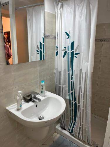 ein Bad mit einem Waschbecken und einem Duschvorhang in der Unterkunft Bergamo Center in Bergamo