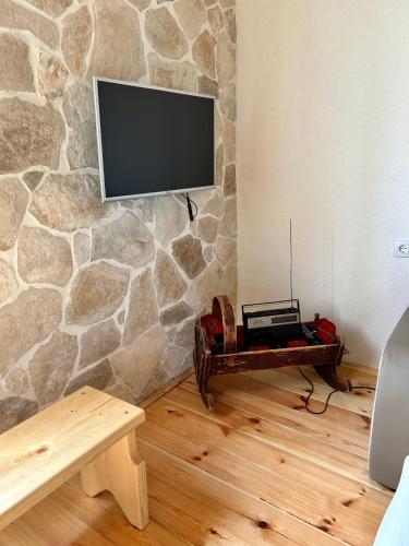 TV a/nebo společenská místnost v ubytování Apartman Djina Zabljak