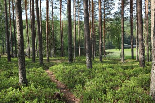 Gallery image of Lekvattnet 123 in Torsby