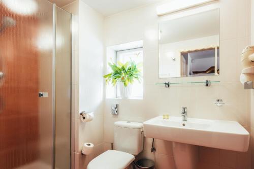 a bathroom with a toilet and a sink and a shower at Sv. Hubertus in Český Krumlov