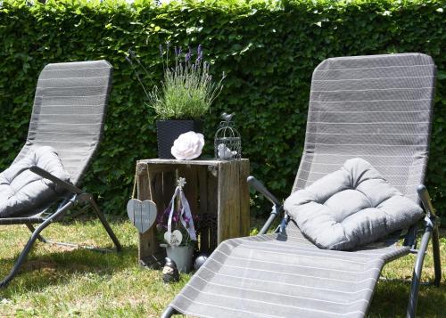 Taman di luar Ferienhaus Dröfter Blick
