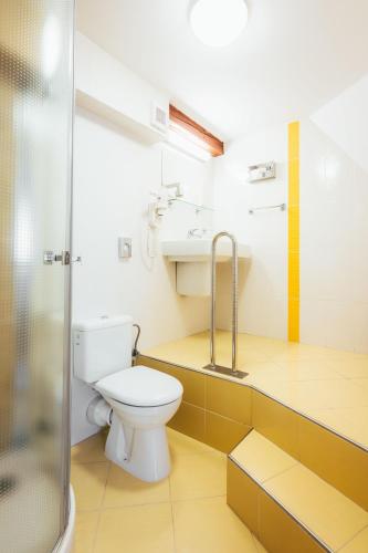 a bathroom with a toilet and a sink at Sv. Hubertus in Český Krumlov