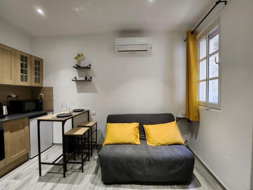 un salon avec un canapé et une cuisine dans l'établissement Studio climatisé avec cour privé en Rez-de-chaussée centre historique, à Avignon