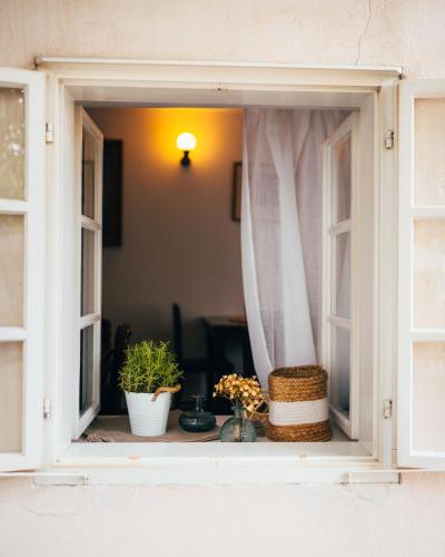 a window with flowers and plants on a window sill at Sv. Hubertus in Český Krumlov