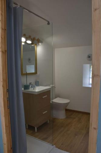 a bathroom with a toilet and a sink and a mirror at Grange Labarthessié in Briatexte