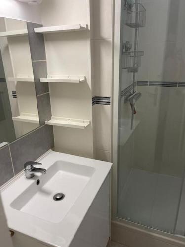 une salle de bain blanche avec un lavabo et une douche dans l'établissement Le nid familial - TOURS Centre Gare, à Tours