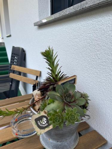 a vase with a plant on a table at Apart Egger in Schwendau