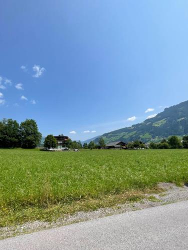 a field of green grass next to a road at Apart Egger in Schwendau