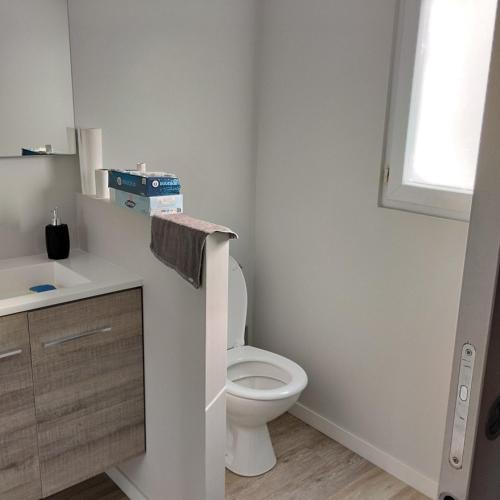 a white bathroom with a toilet and a sink at Studio attenant a la maison principale in Saint-Martin-des-Tilleuls