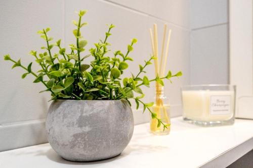 a vase with a plant on a counter with a candle at Amari-Zaton in Zaton
