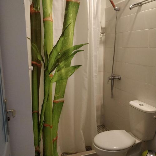 ein Badezimmer mit einem Vorhang aus Bambus und einem WC in der Unterkunft One bedroom apartment in Tazacorte in Tazacorte