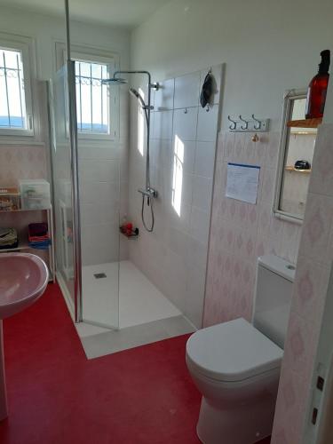 a bathroom with a shower and a toilet and a sink at Les coteaux de Planèze, maison et jardin dans le Lot! Chambres chez l'habitant! in Belmont-Bretenoux