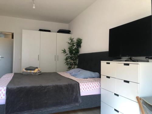 a bedroom with a bed and a flat screen tv at One bedroom 3pieces entire Modern Appartment close to Airport, CERN, Palexpo, public transport to the center of Geneva in Meyrin