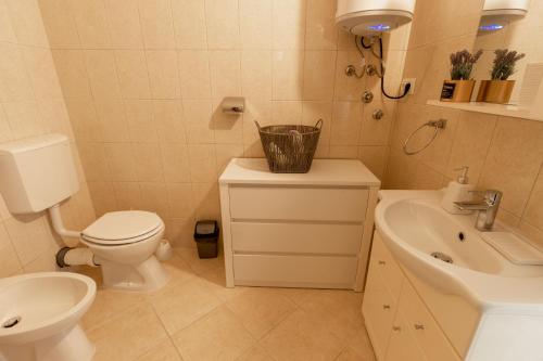 a bathroom with a toilet and a sink at LUXURY STYLISH APARTMENT BURE in Murter