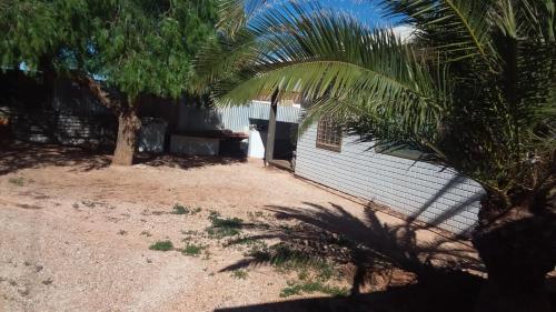 una casa con una palmera al lado de un edificio en Opal Back House, en Coober Pedy