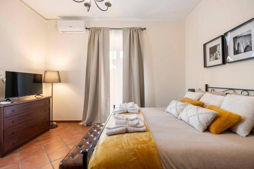 a bedroom with a large bed and a television at Country House nella Winery in Frascati