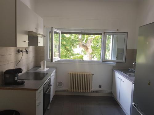 une cuisine avec un évier et une fenêtre dans l'établissement Appart'avignon, à Avignon