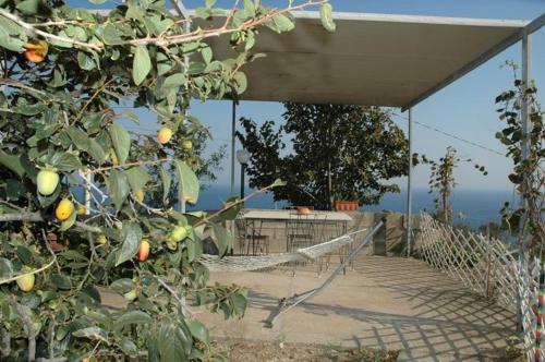 a building with a fence and a tree with fruit at Appartamenti Miramare in Collina in Ischia