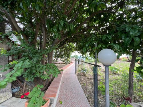 a path under a tree with a street light at Appartamenti Miramare in Collina in Ischia