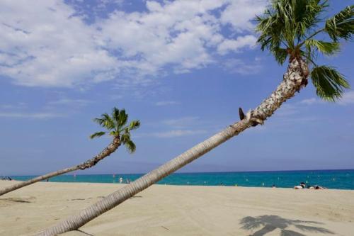 two palm trees on a beach with the ocean at A 500 m de la plage, tout confort avec wifi in Le Barcarès