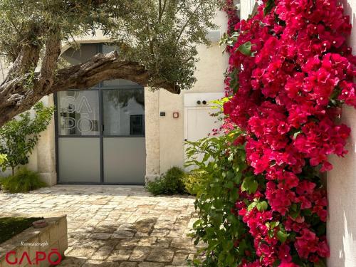 a bunch of red flowers on the side of a building at GAPO Rooms in Orta Nova