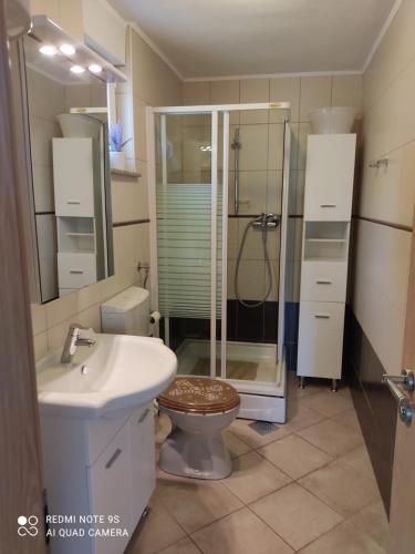 a bathroom with a shower and a toilet and a sink at Cesarica Studio near sea in Cesarica